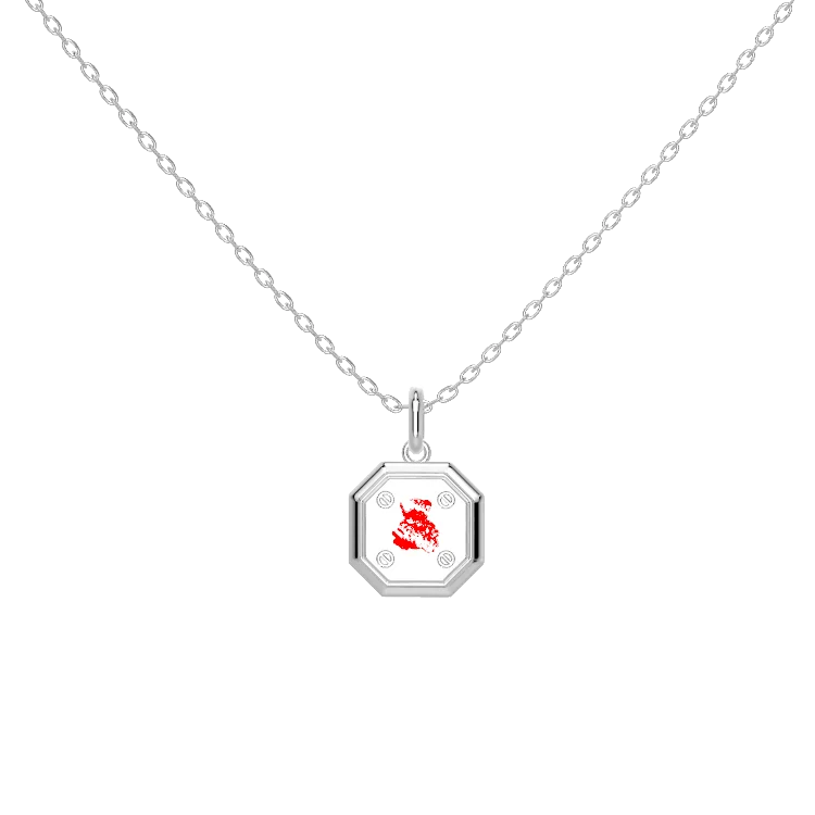 Enamel Charm Necklace Silver SN052