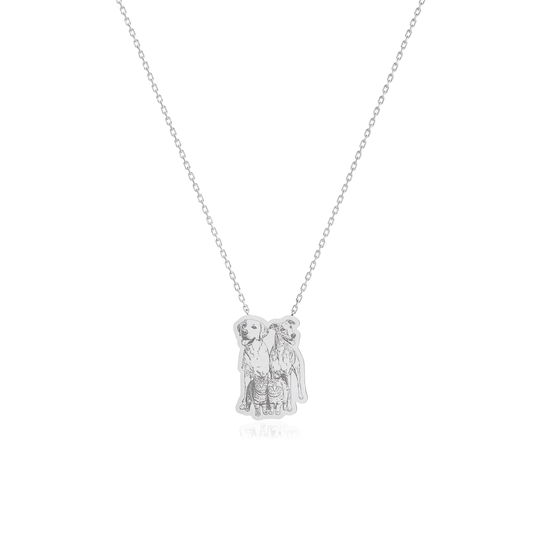Pet Lover Personalized Necklace, Brass, SN053BR