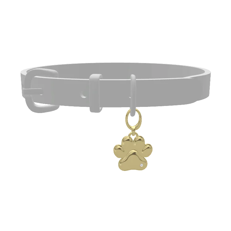Pet Charms