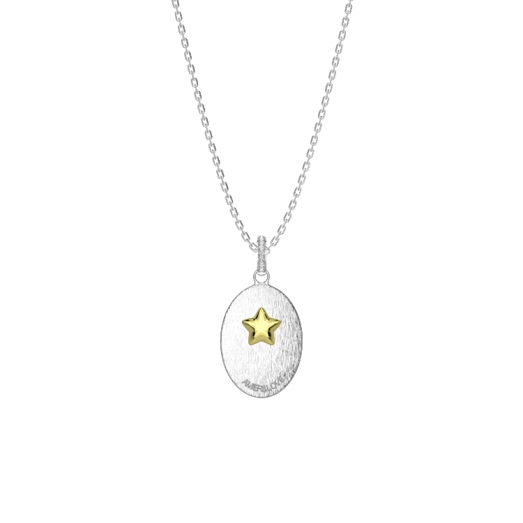 Double-Sided Custom Paw Oval Necklace AW24N005O