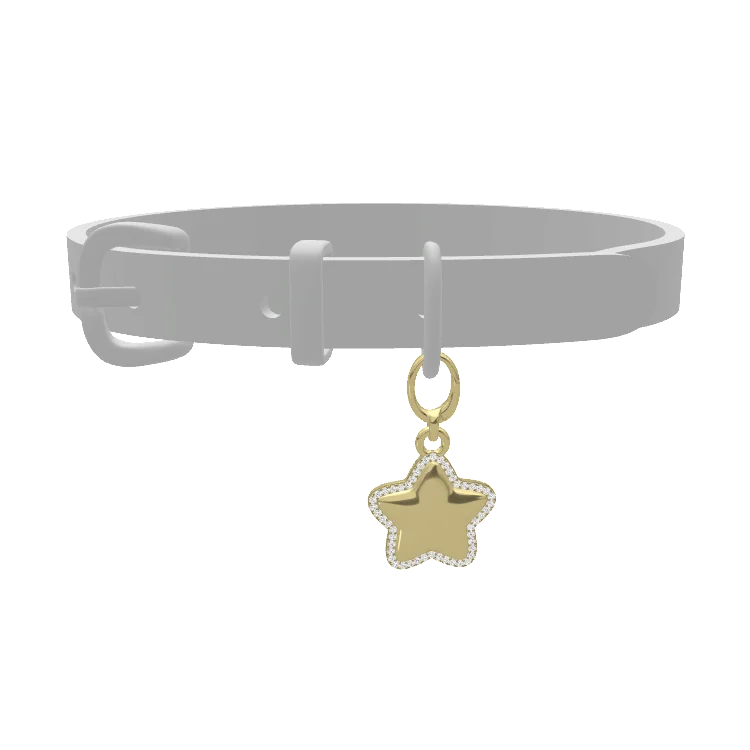 Pet Charms