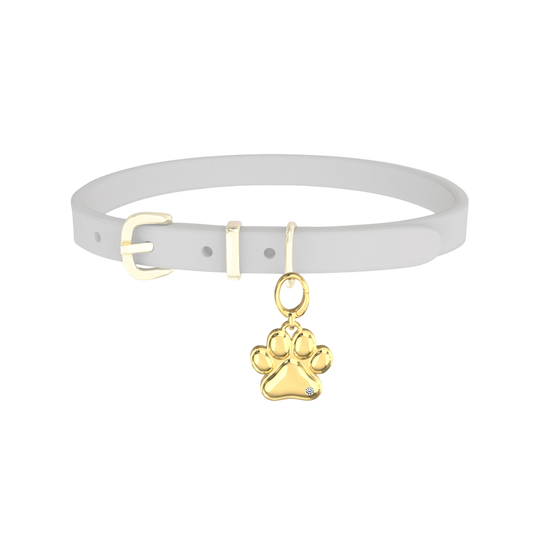 Pet Charms SP001CARD (Personalized Note Jewelry)