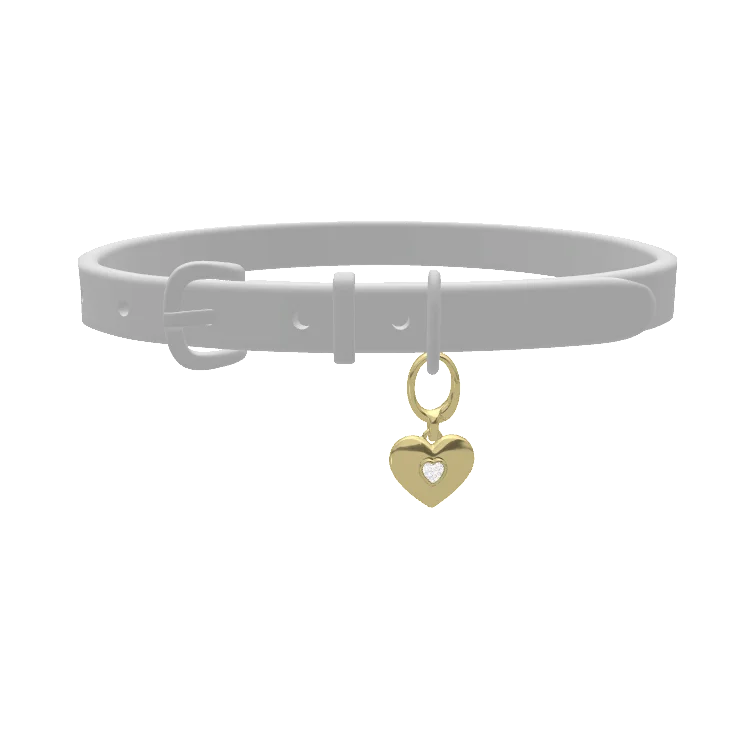 Pet Charms