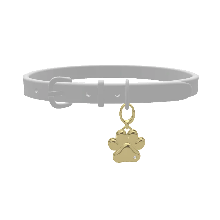 Pet Charms SP001CARD (Personalized Note Jewelry)
