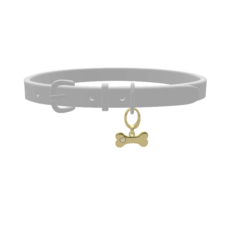 Pet Charms