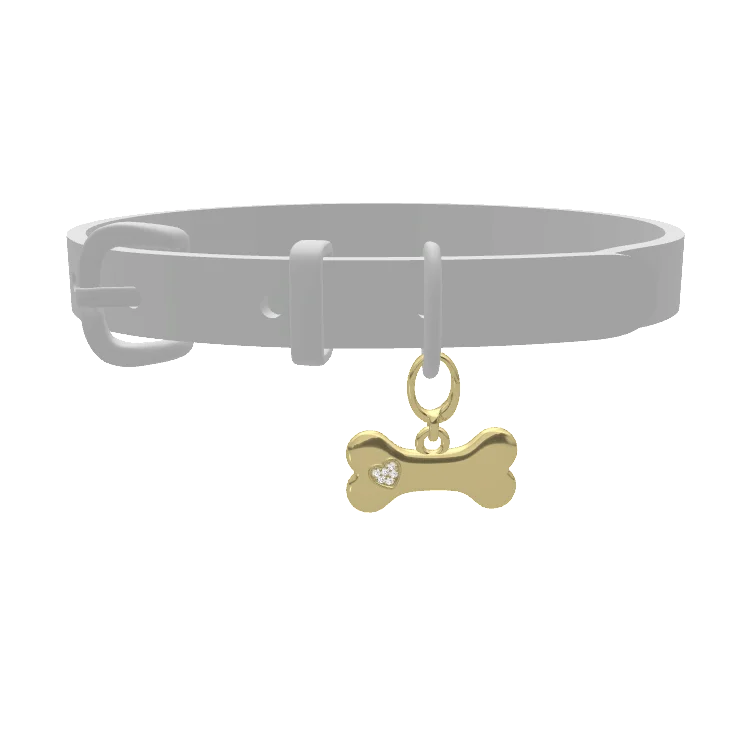 Pet Charms
