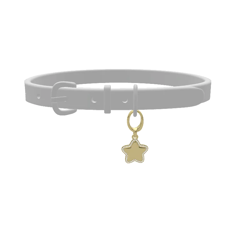 Pet Charms