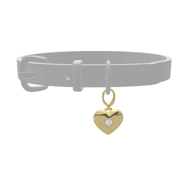 Pet Charms